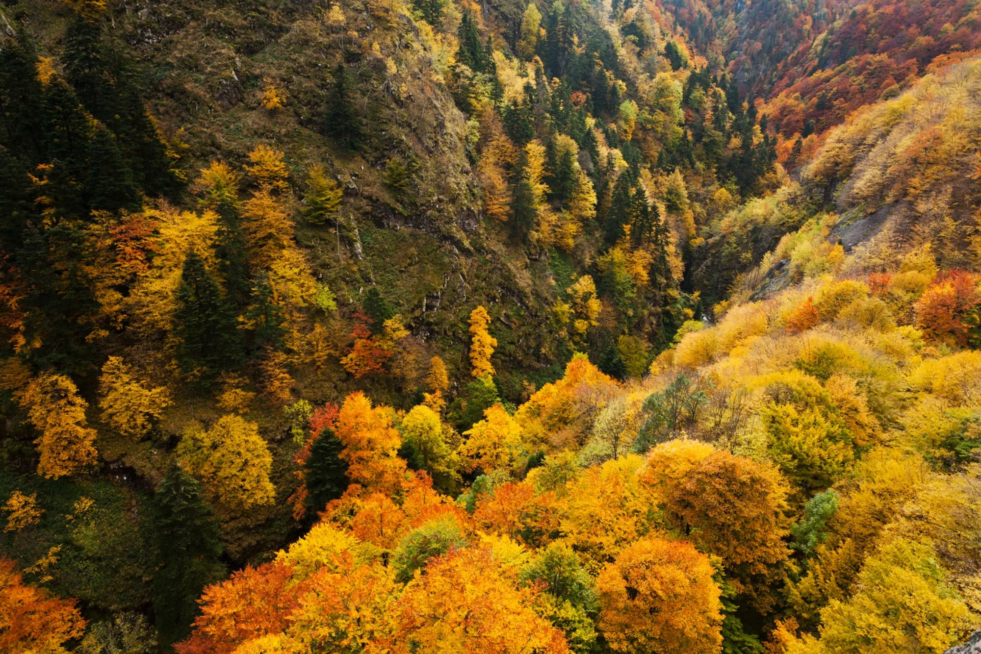 Steneto Biosphere Reserve, Bulgaria