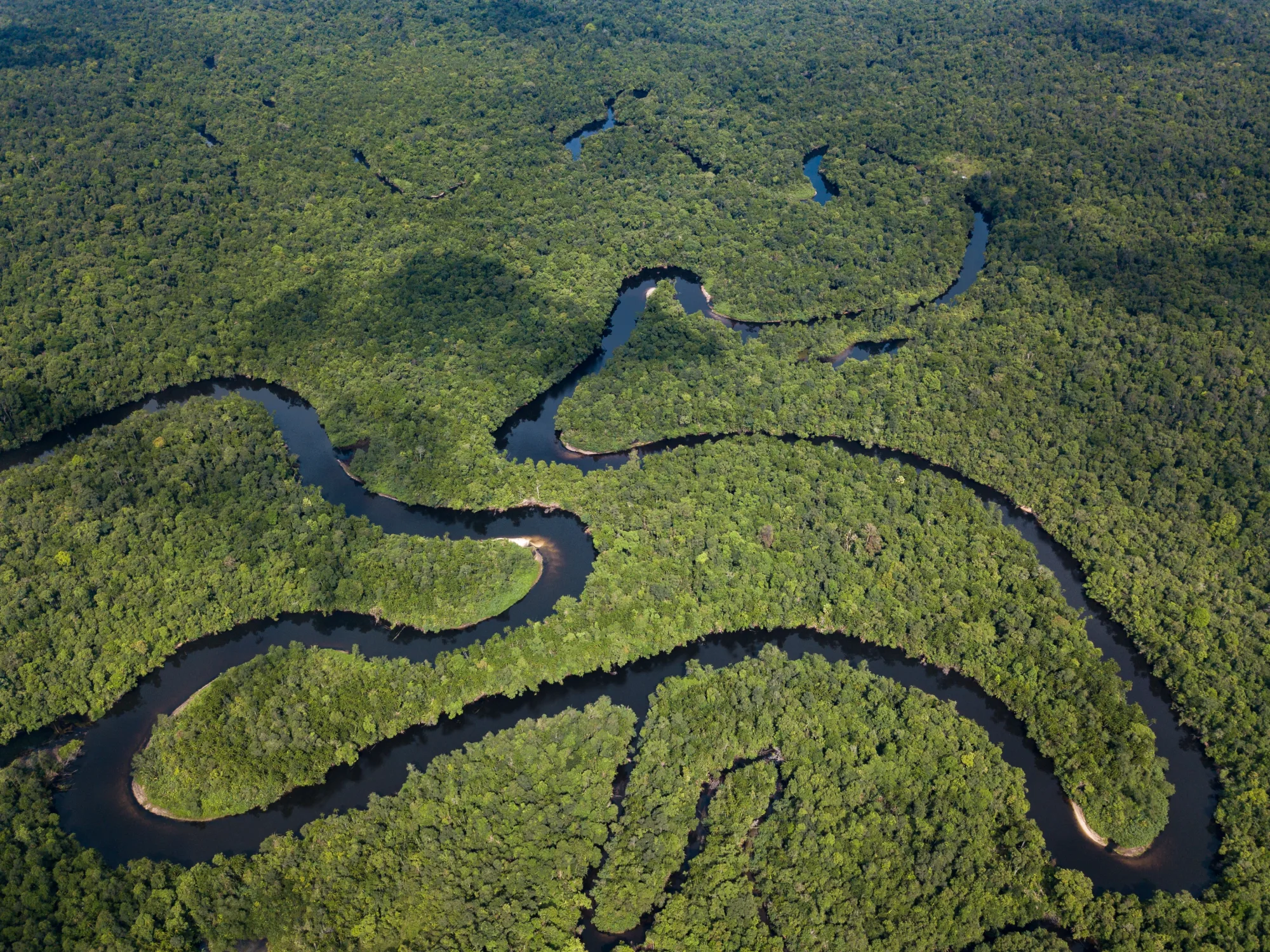 Southern Cardamom National Park, Cambodia