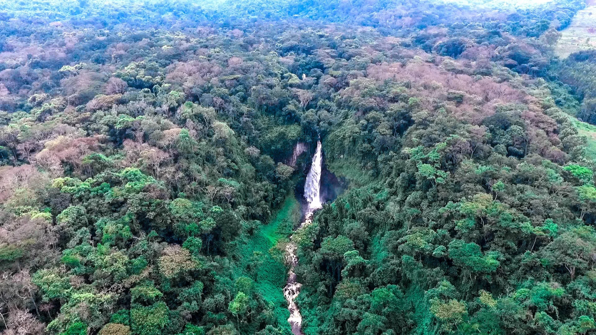 Kahuzi-Biéga National Park, Congo - Kinshasa