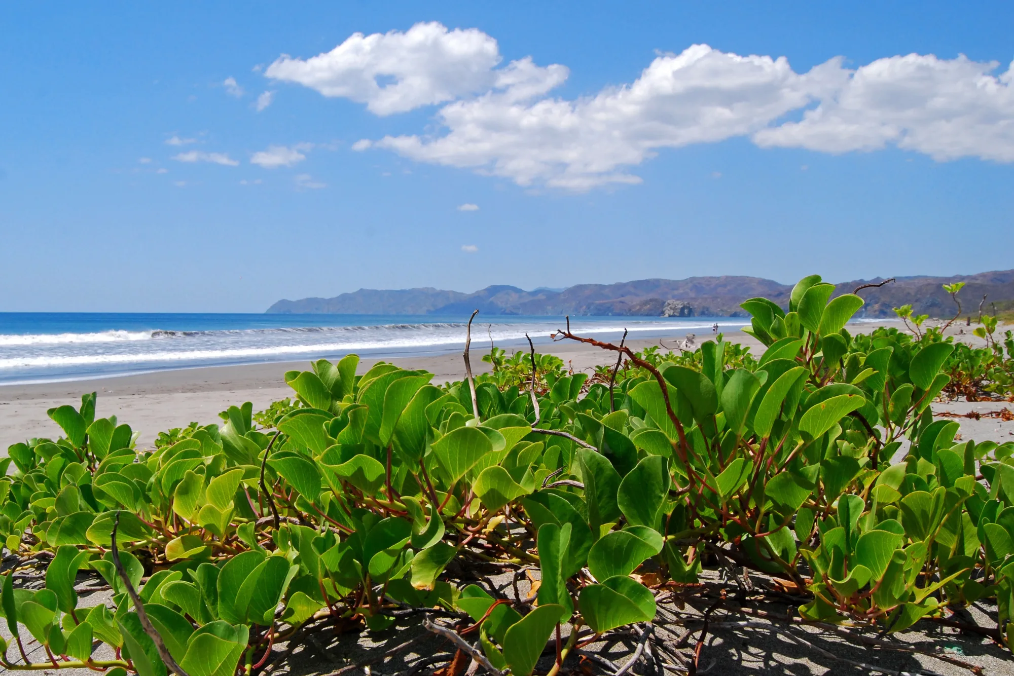 Santa Rosa National Park, Costa Rica