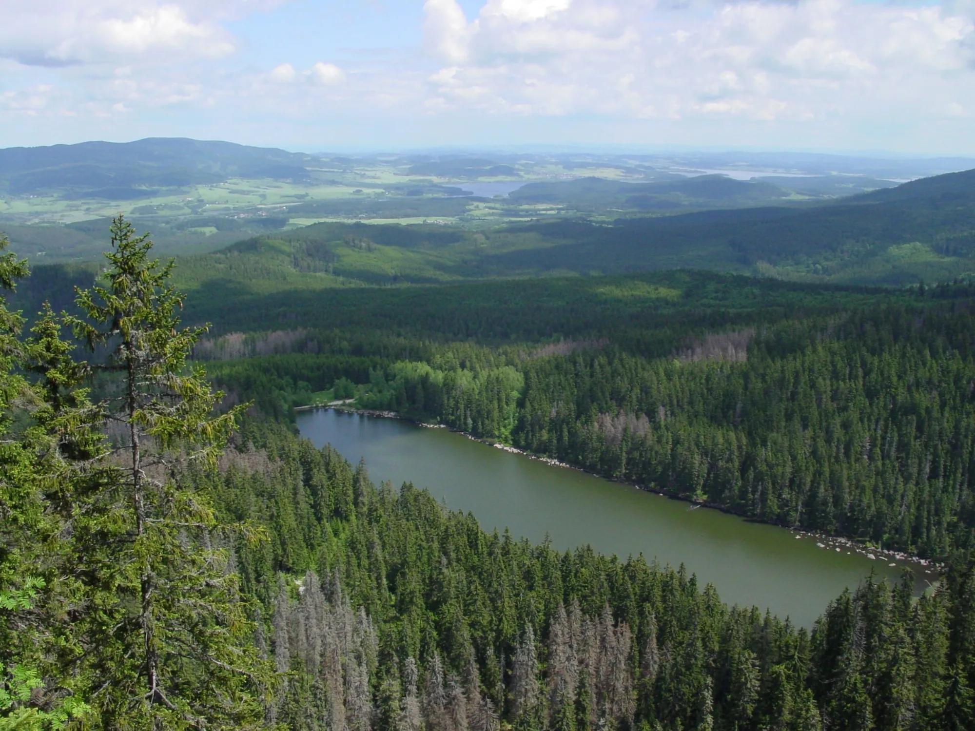 Šumava National Park, Czechia