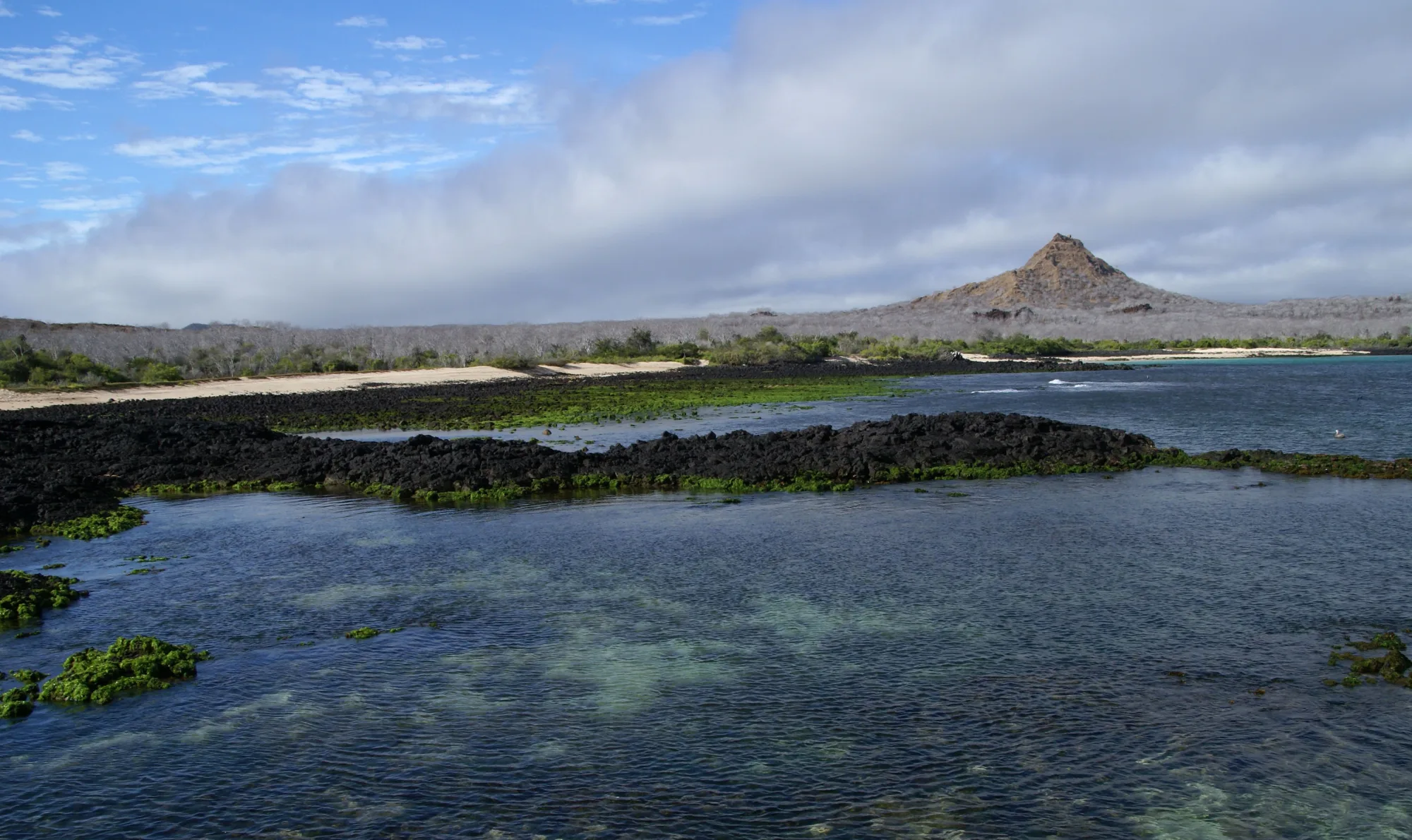 Galápagos National Park, Ecuador