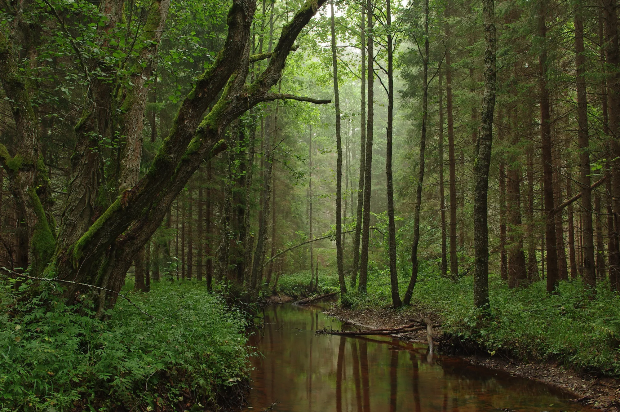 Kõrvemaa Nature Park, Estonia