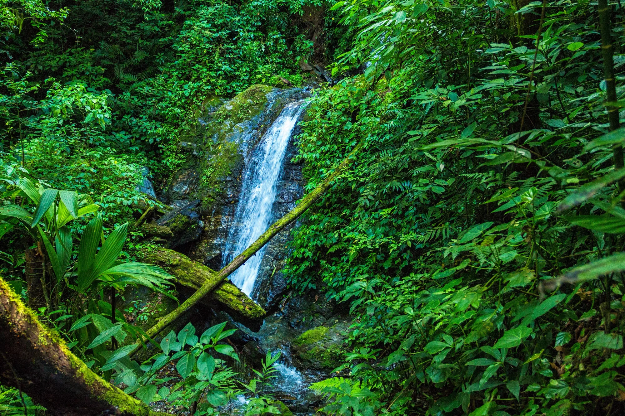 Montaña de Comayagua National Park, Honduras