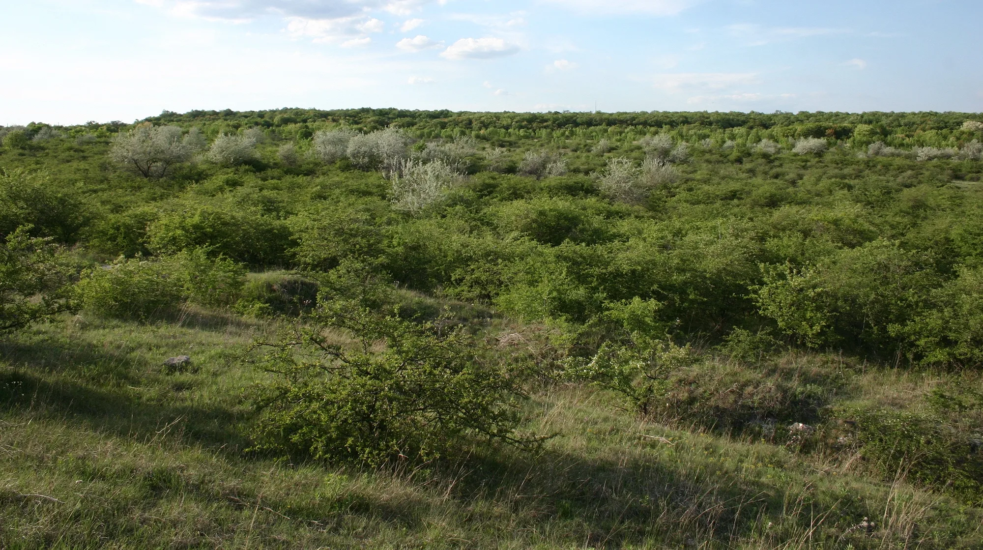 Tétényi Plateau, Hungary