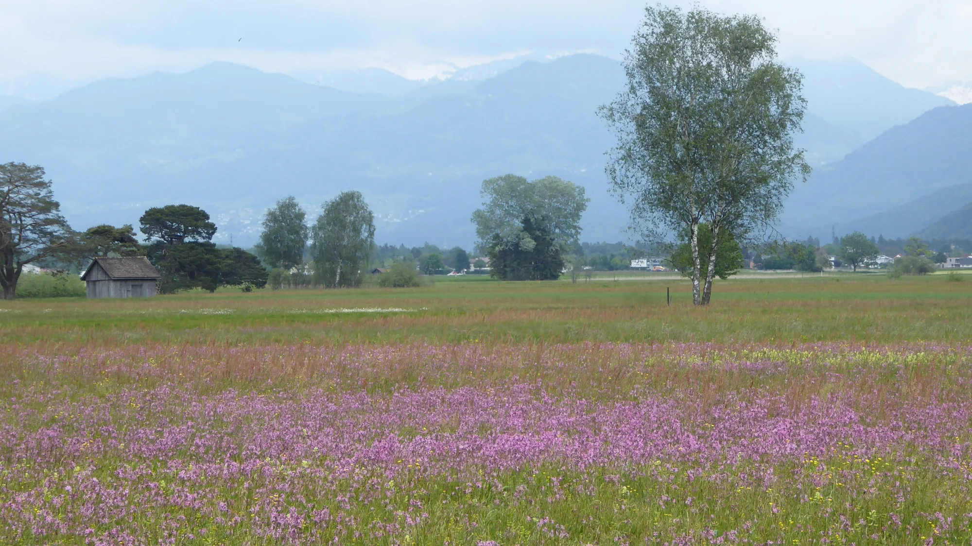 Ruggeller Riet, Liechtenstein