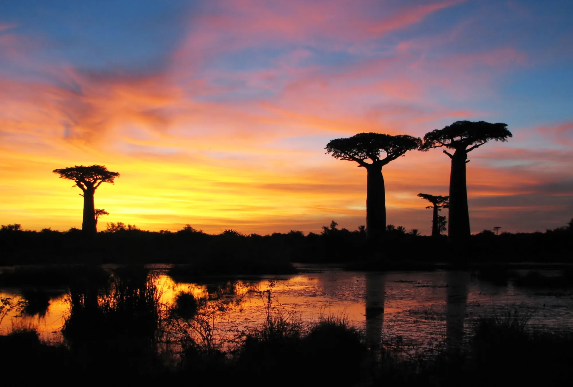 Kirindy Mitea National Park, Madagascar