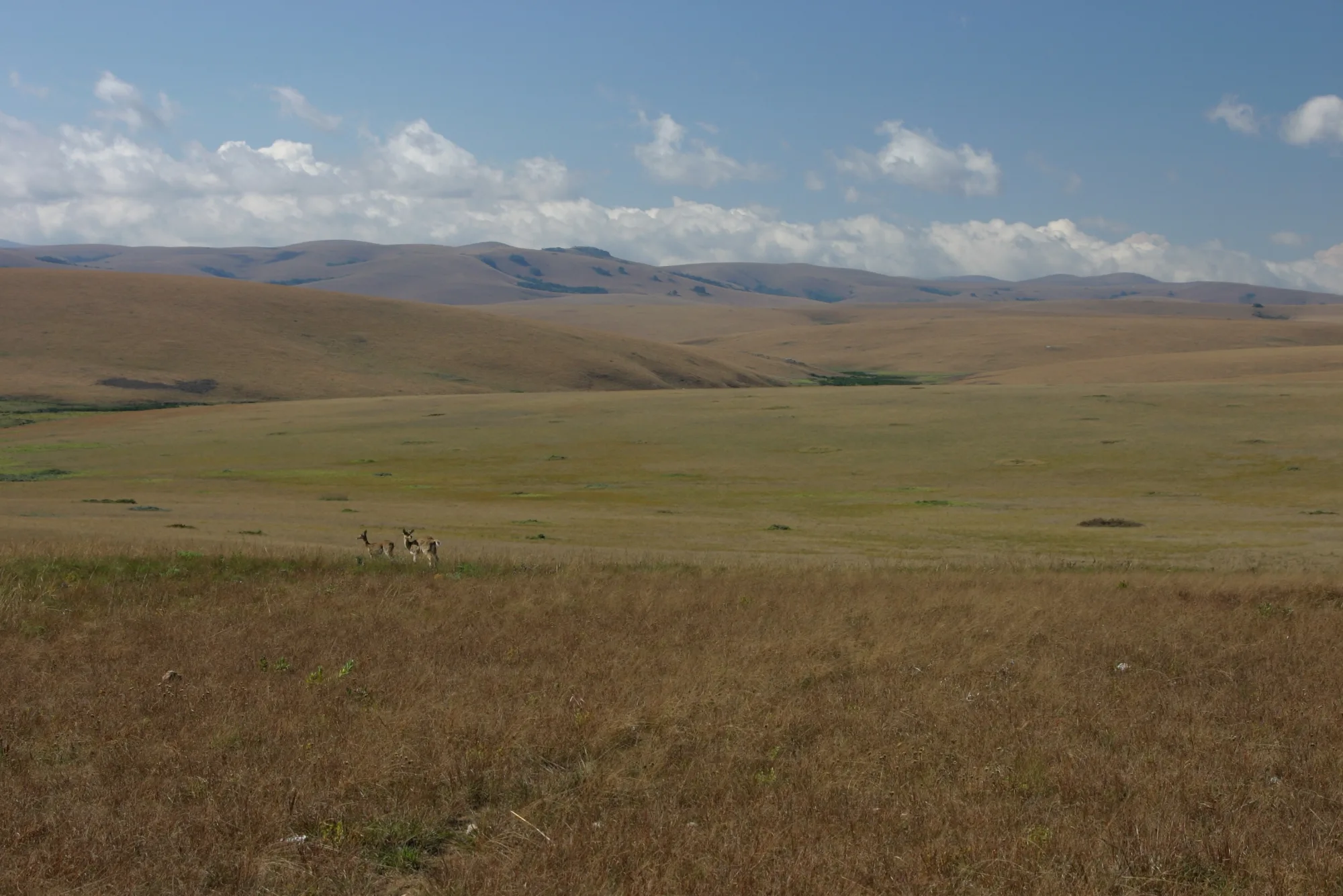 Nyika National Park, Malawi