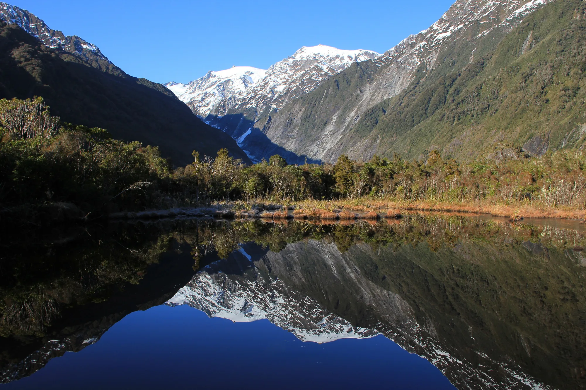 Westland Tai Poutini National Park, New Zealand