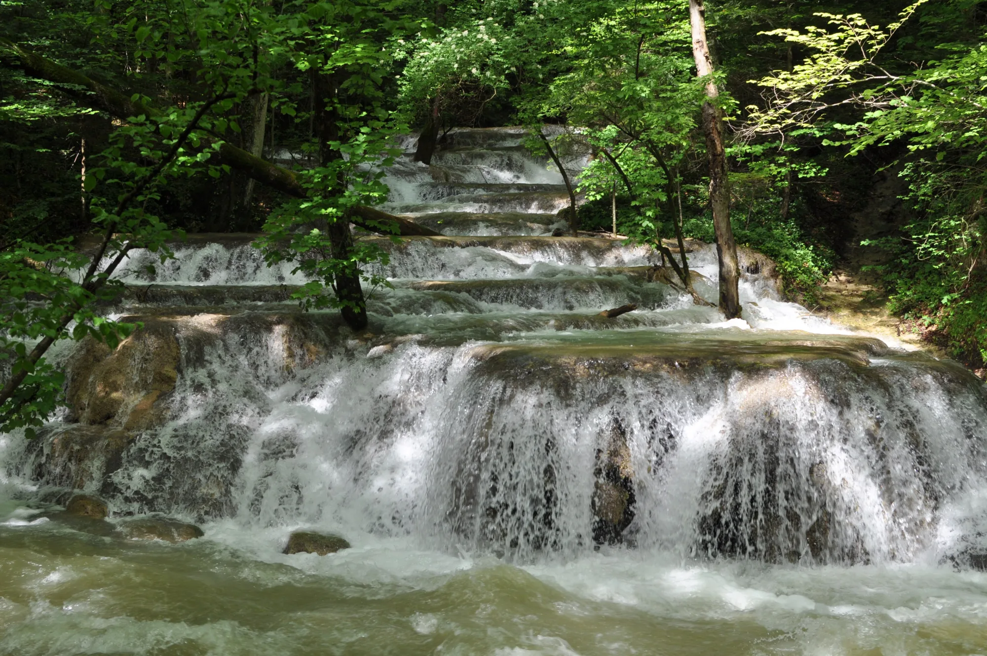 Cheile Nerei-Beușnița National Park, Romania
