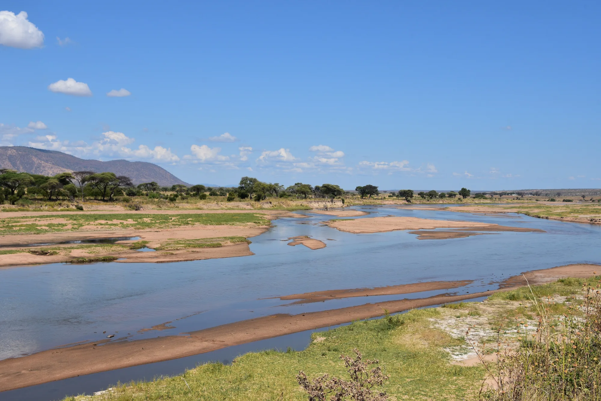 Ruaha National Park, Tanzania