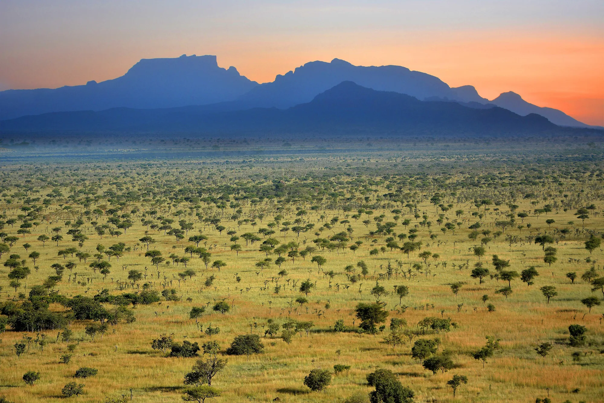 Pian Upe Wildlife Reserve, Uganda