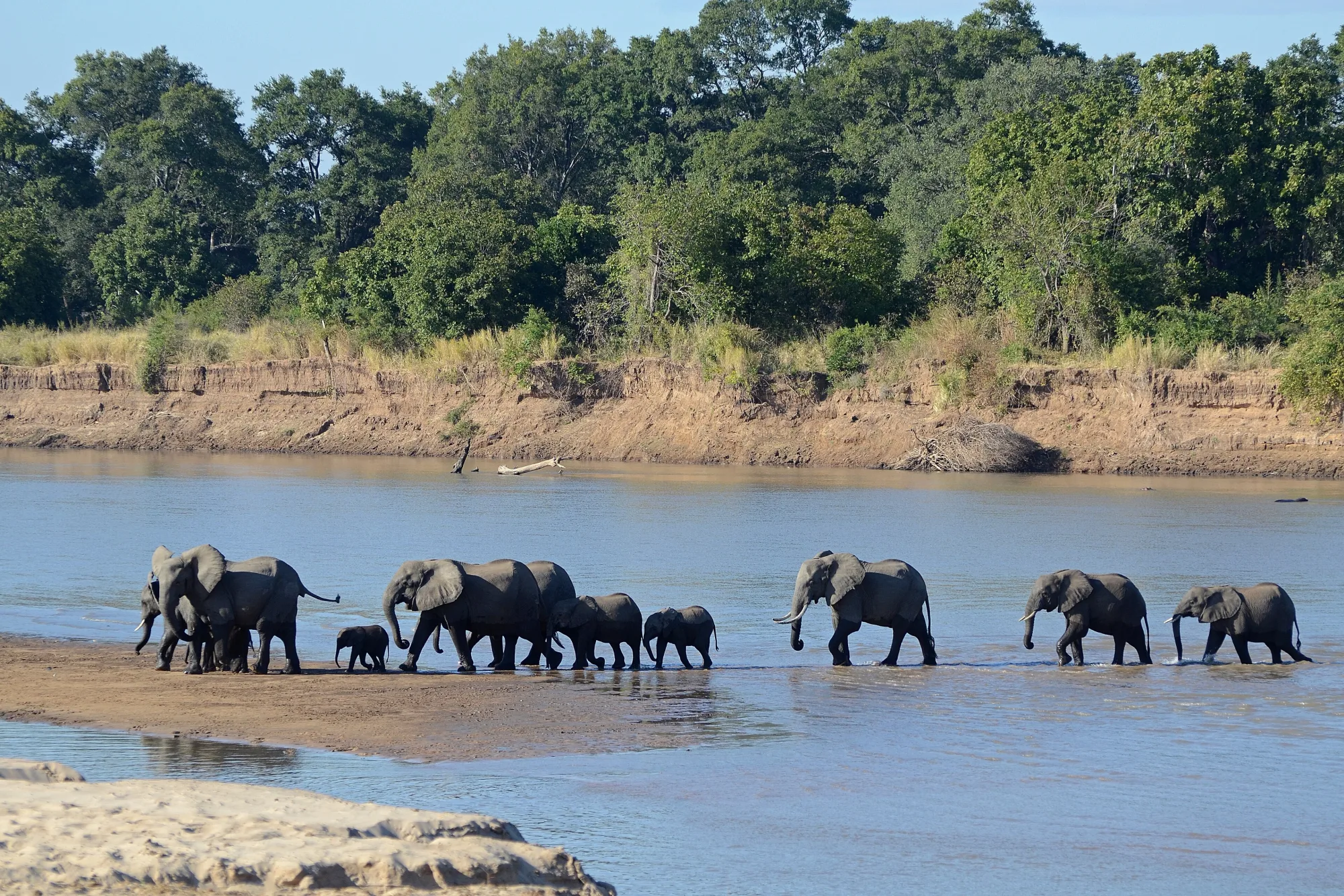 South Luangwa National Park, Zambia