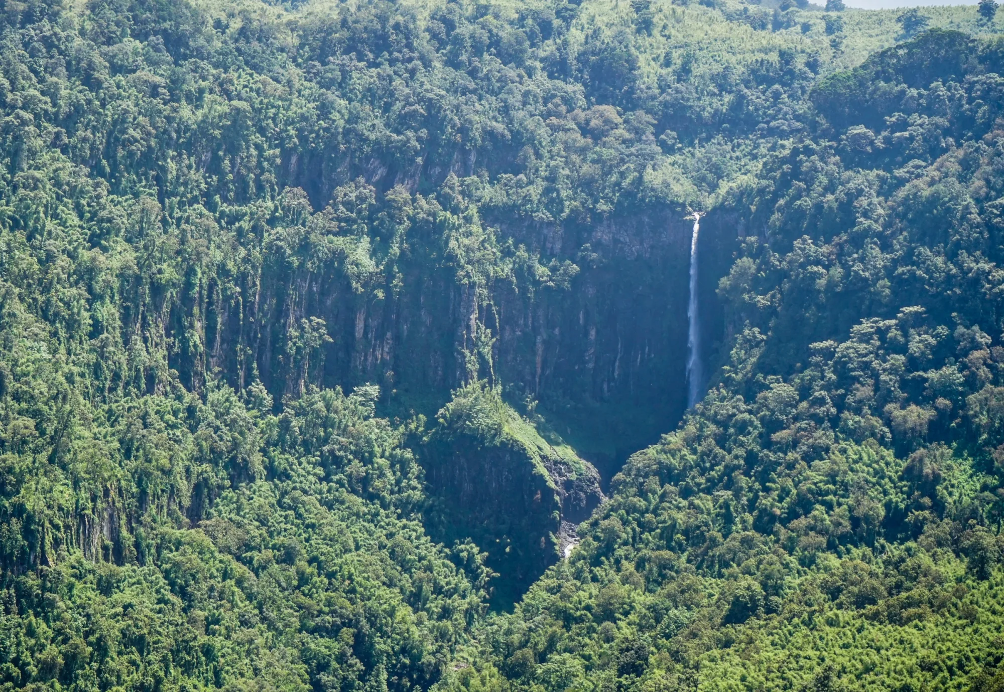 Aberdare National Park, Kenya
