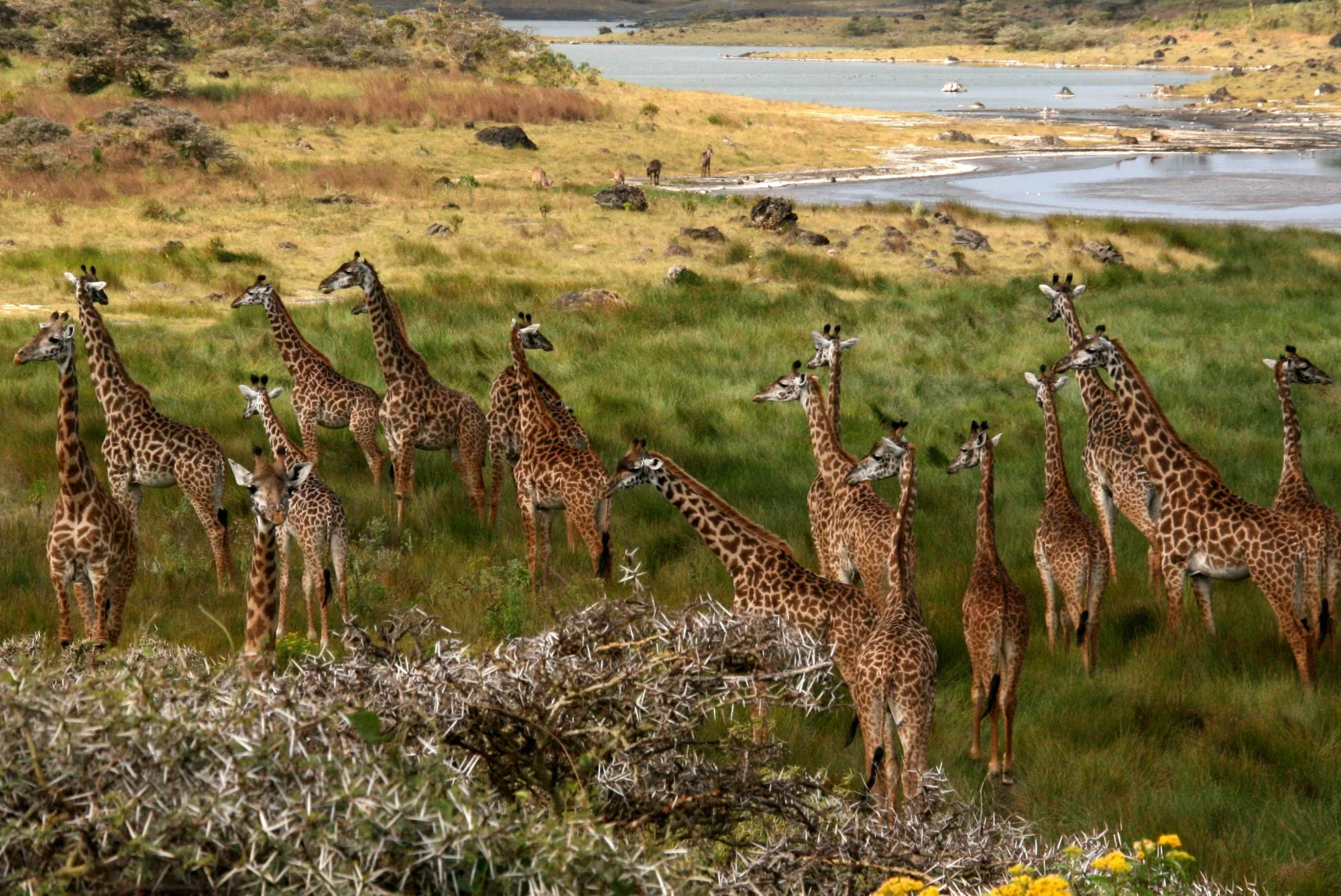 Arusha National Park, Tanzania