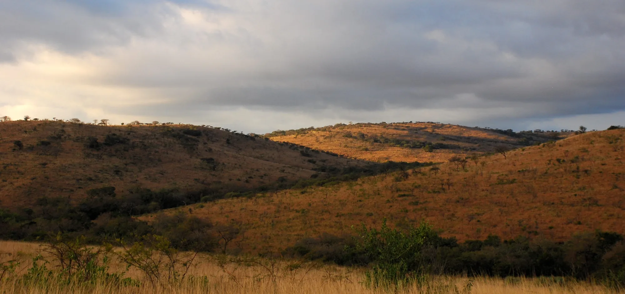 Hluhluwe-iMfolozi Park, South Africa