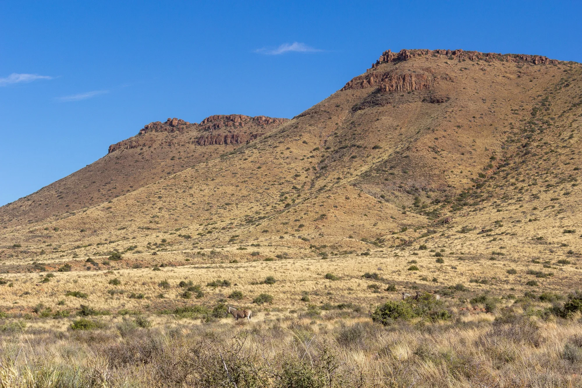 Karoo National Park, South Africa