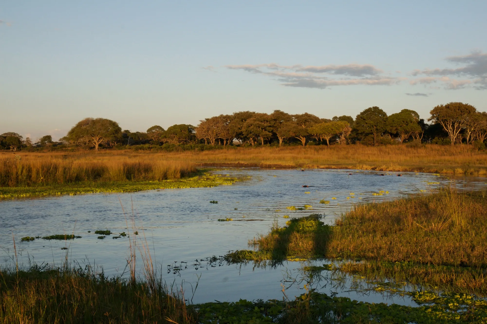 Katavi National Park, Tanzania
