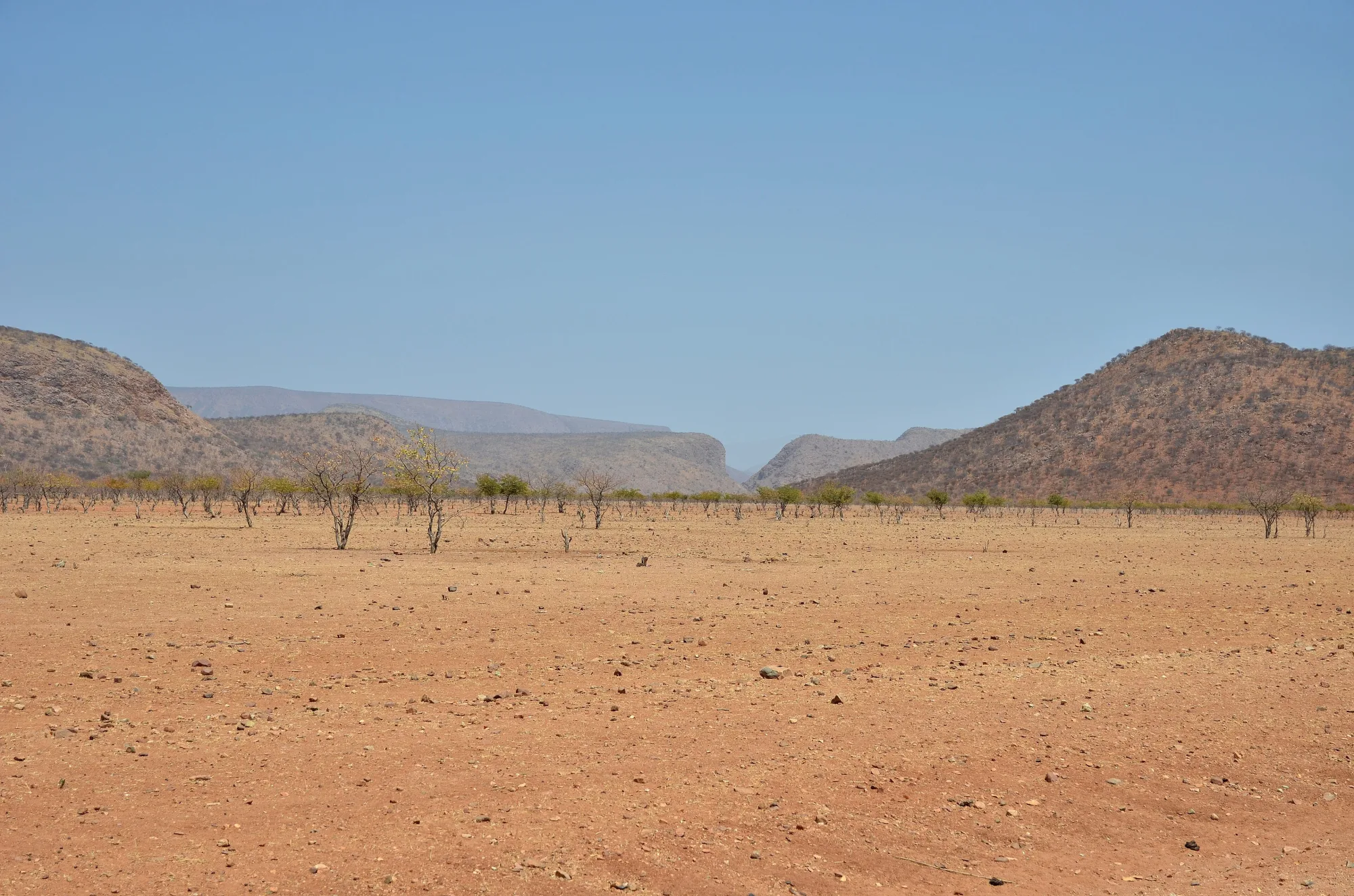 Kunene / Kaokoveld, Namibia