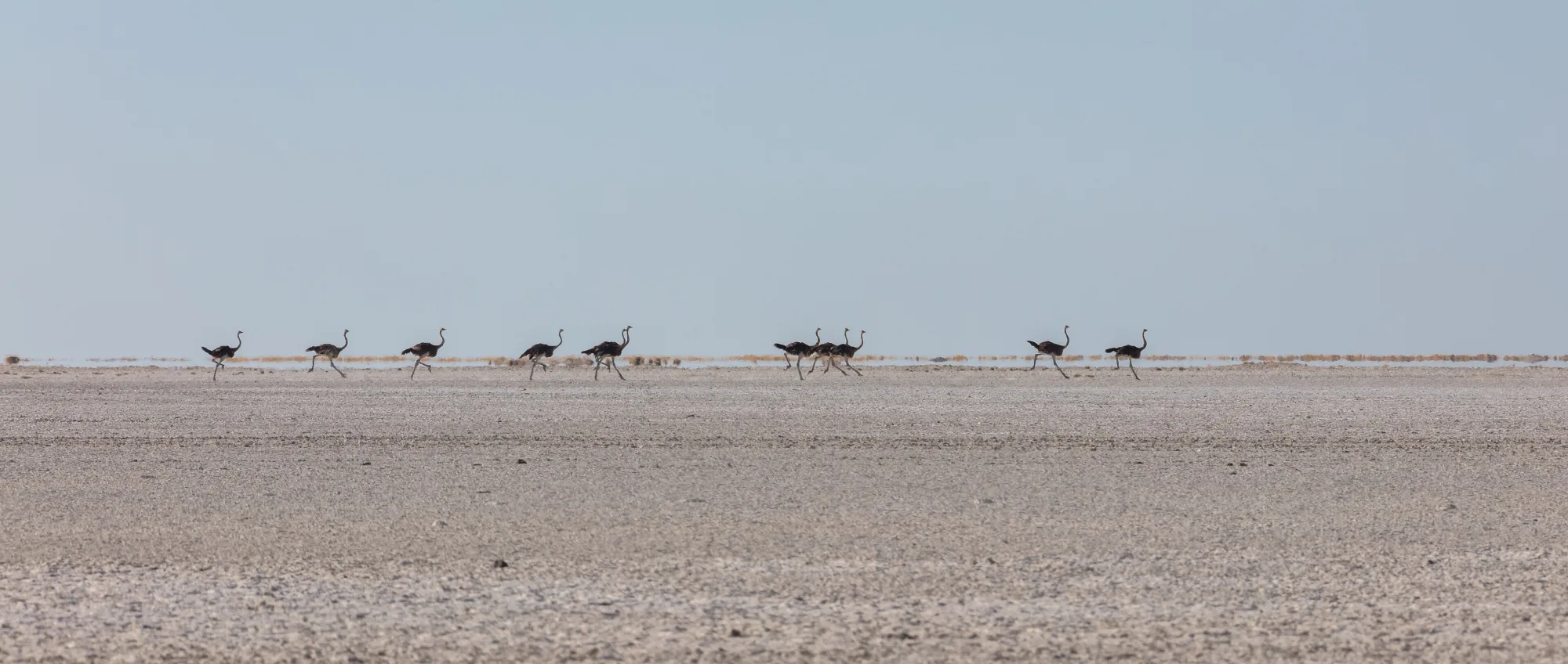 Makgadikgadi Pans National Park, Botswana
