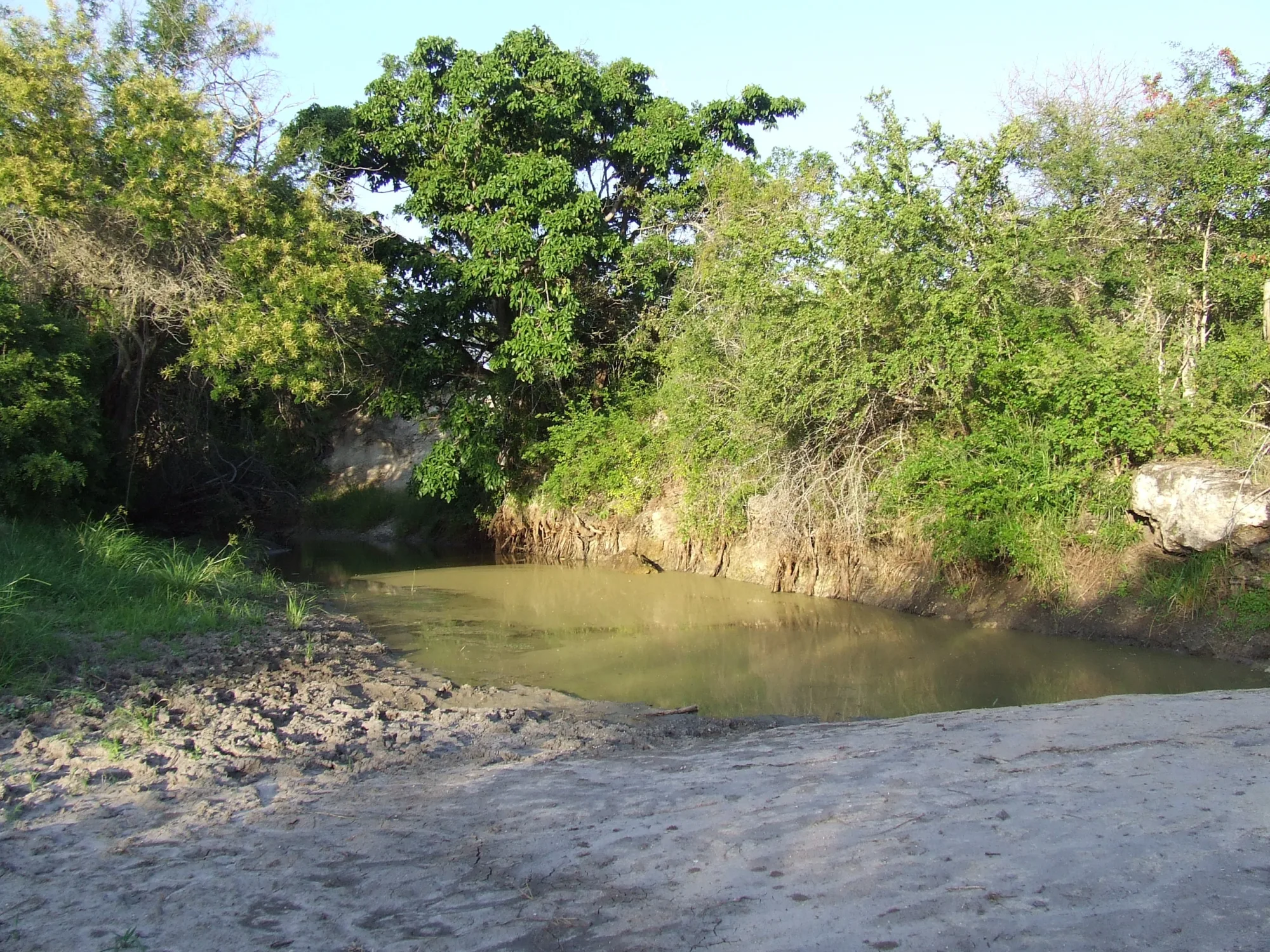 Mkomazi National Park, Tanzania