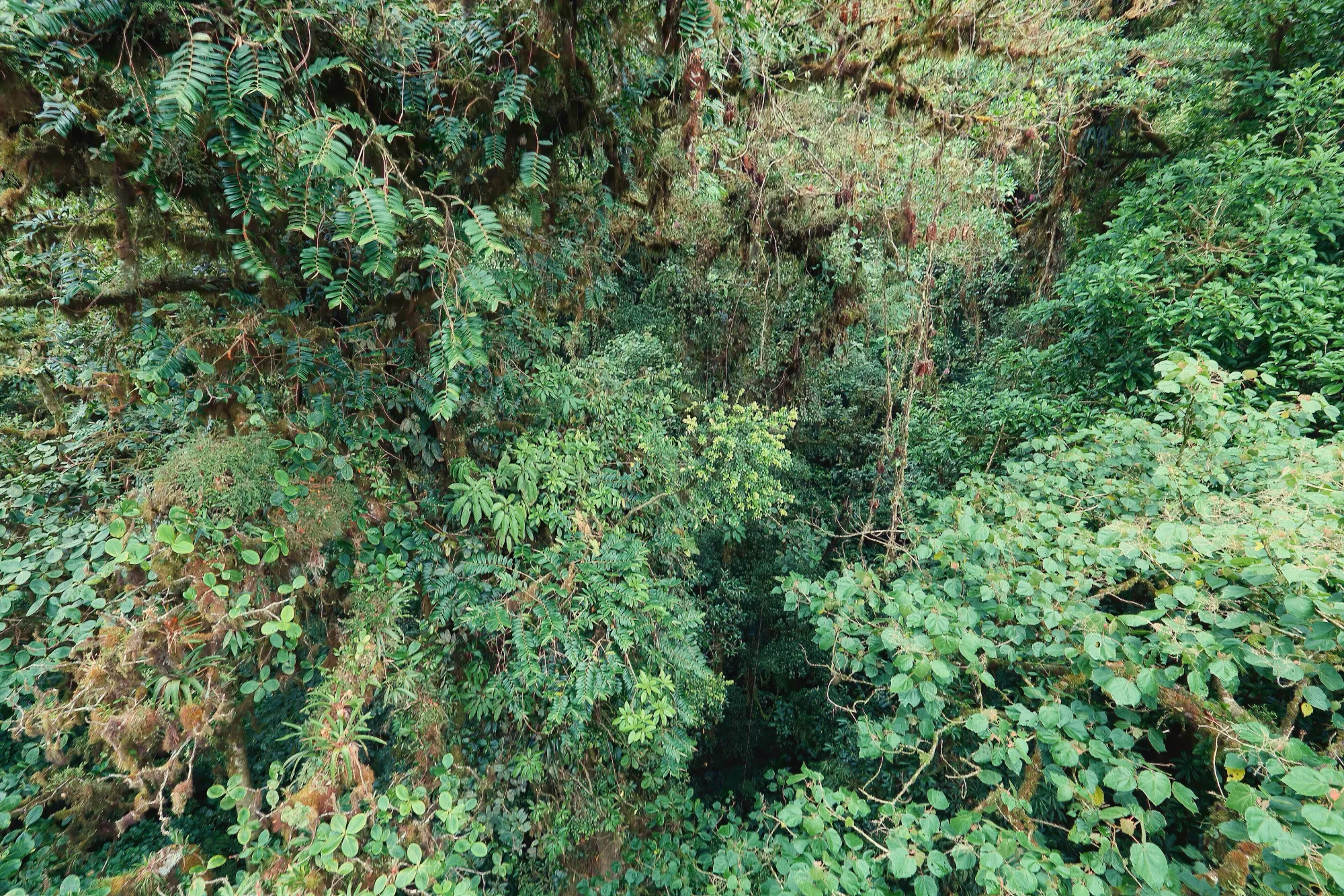 Monteverde, Costa Rica