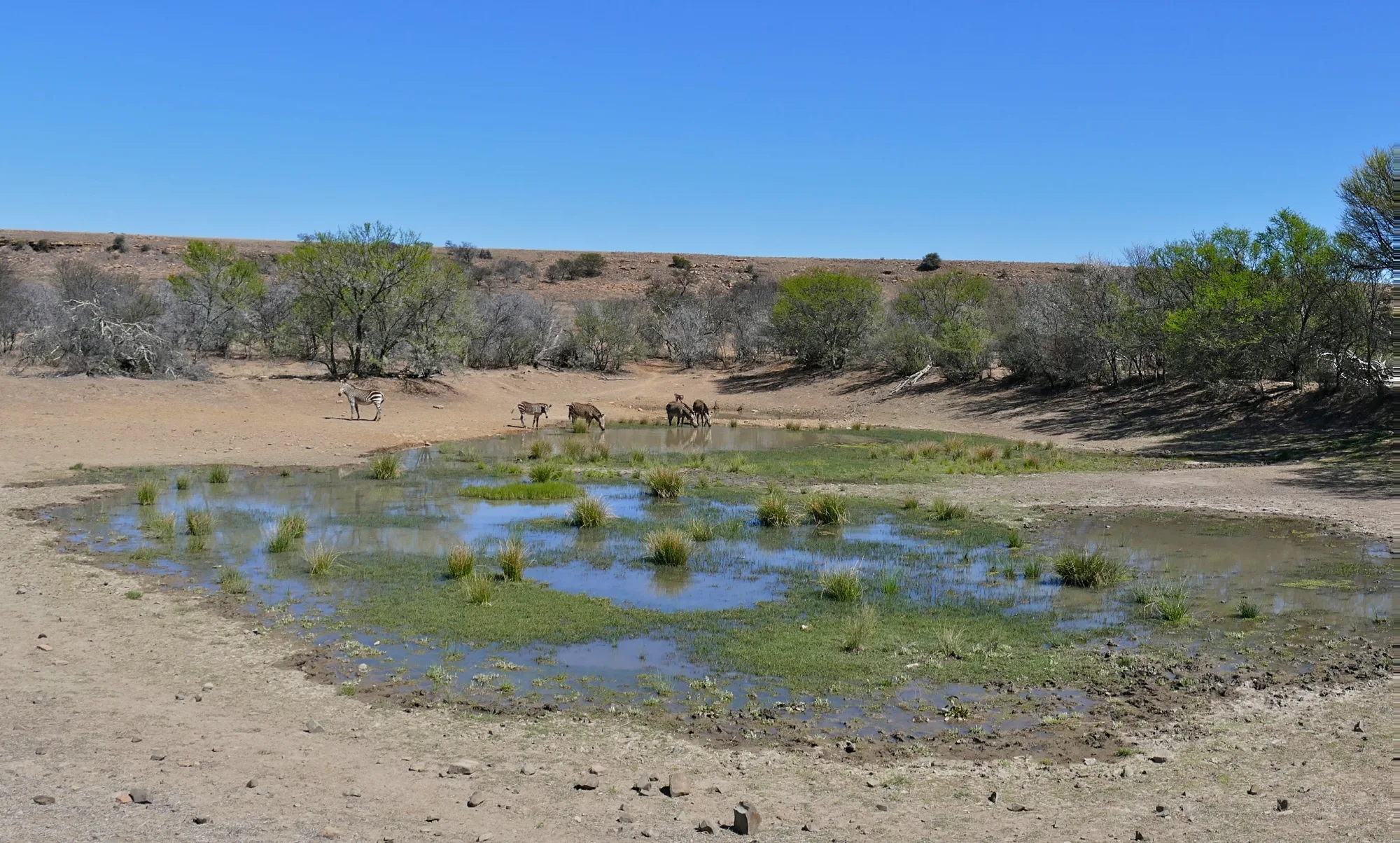 Mountain Zebra National Park, South Africa
