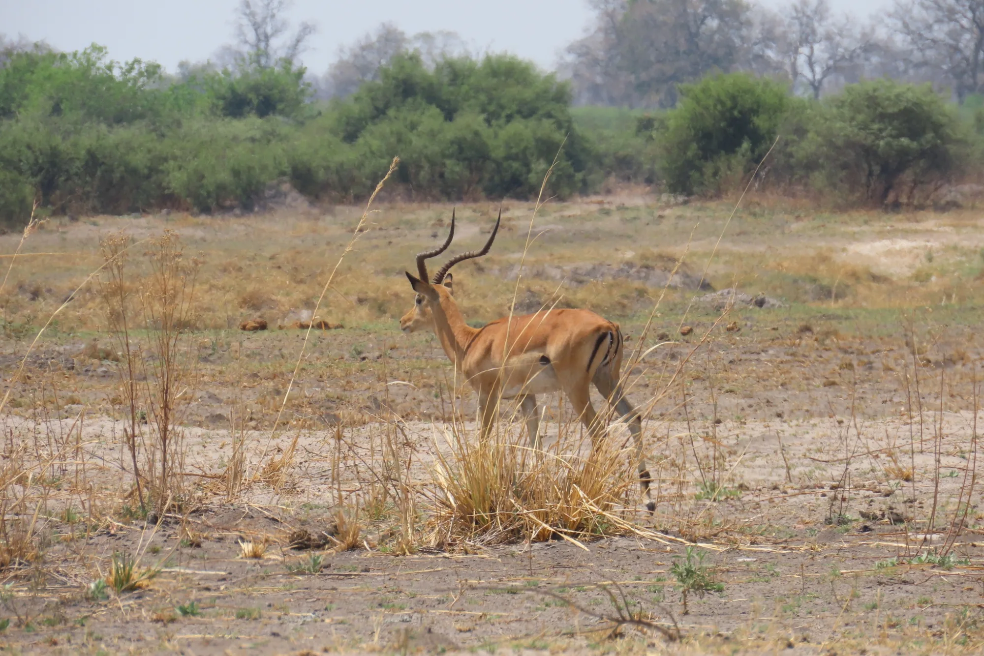 Nkasa Rupara National Park, Namibia