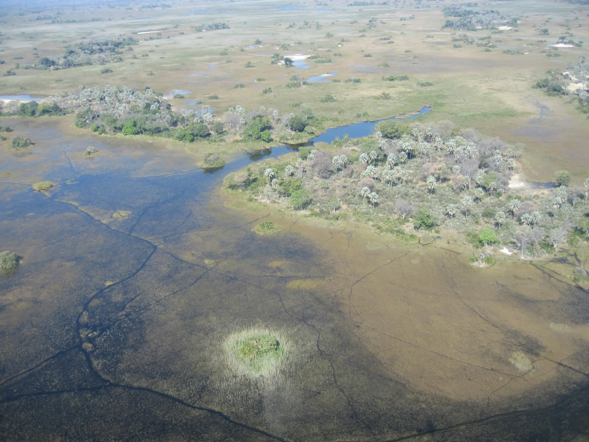 Okavango Delta, Botswana