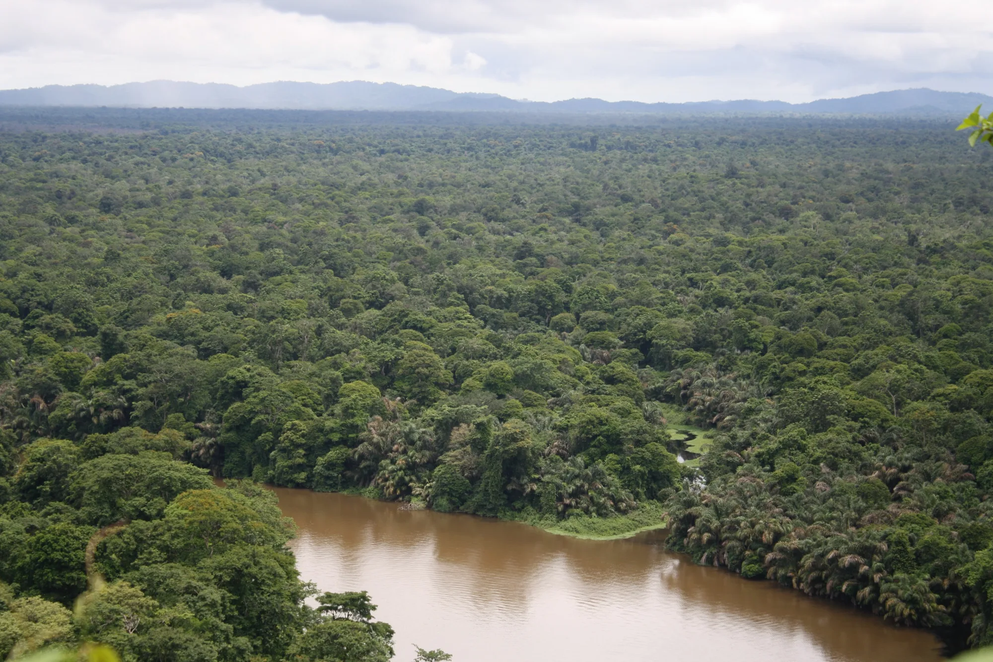 Tortuguero, Costa Rica