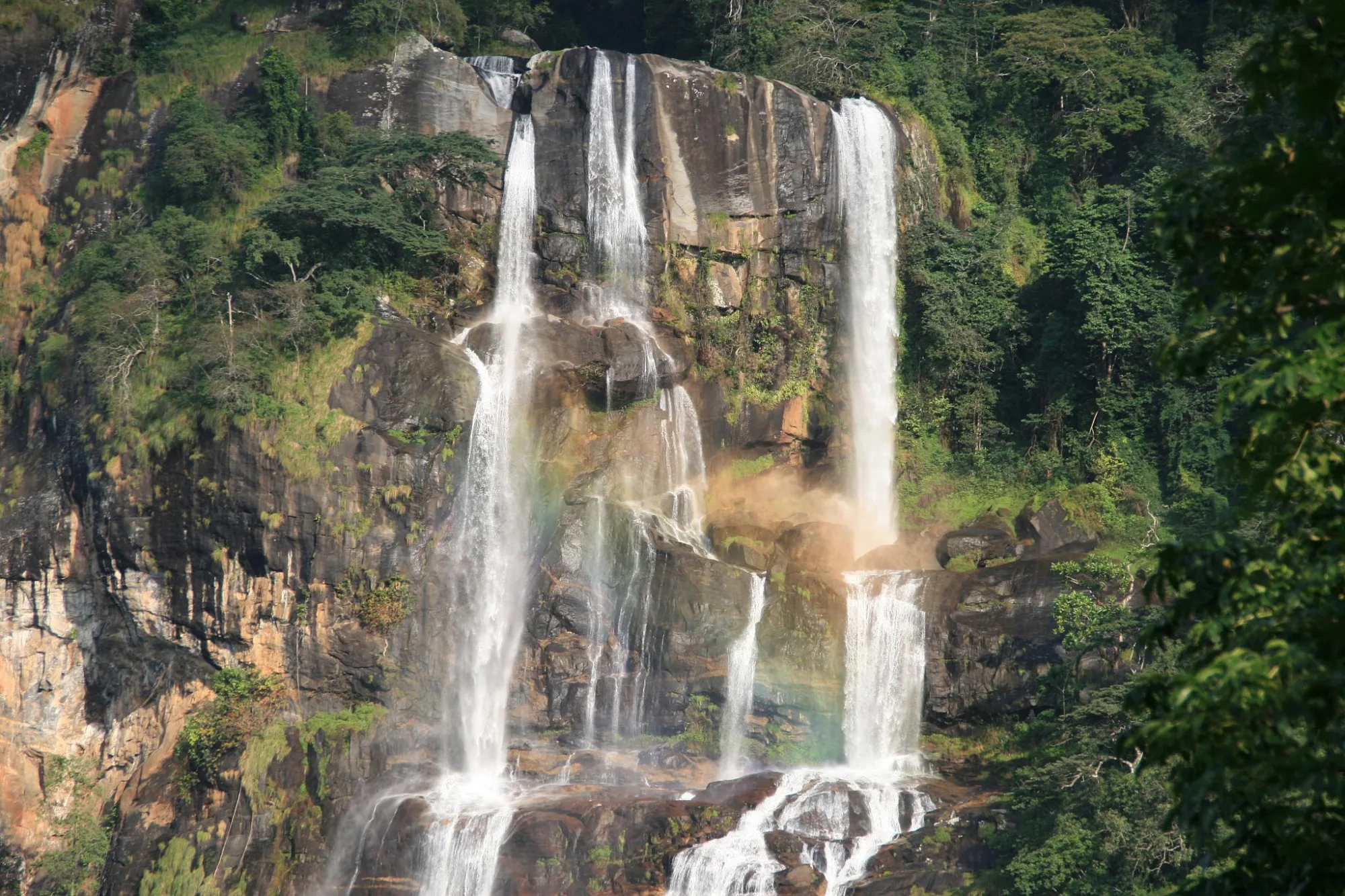 Udzungwa Mountains National Park, Tanzania