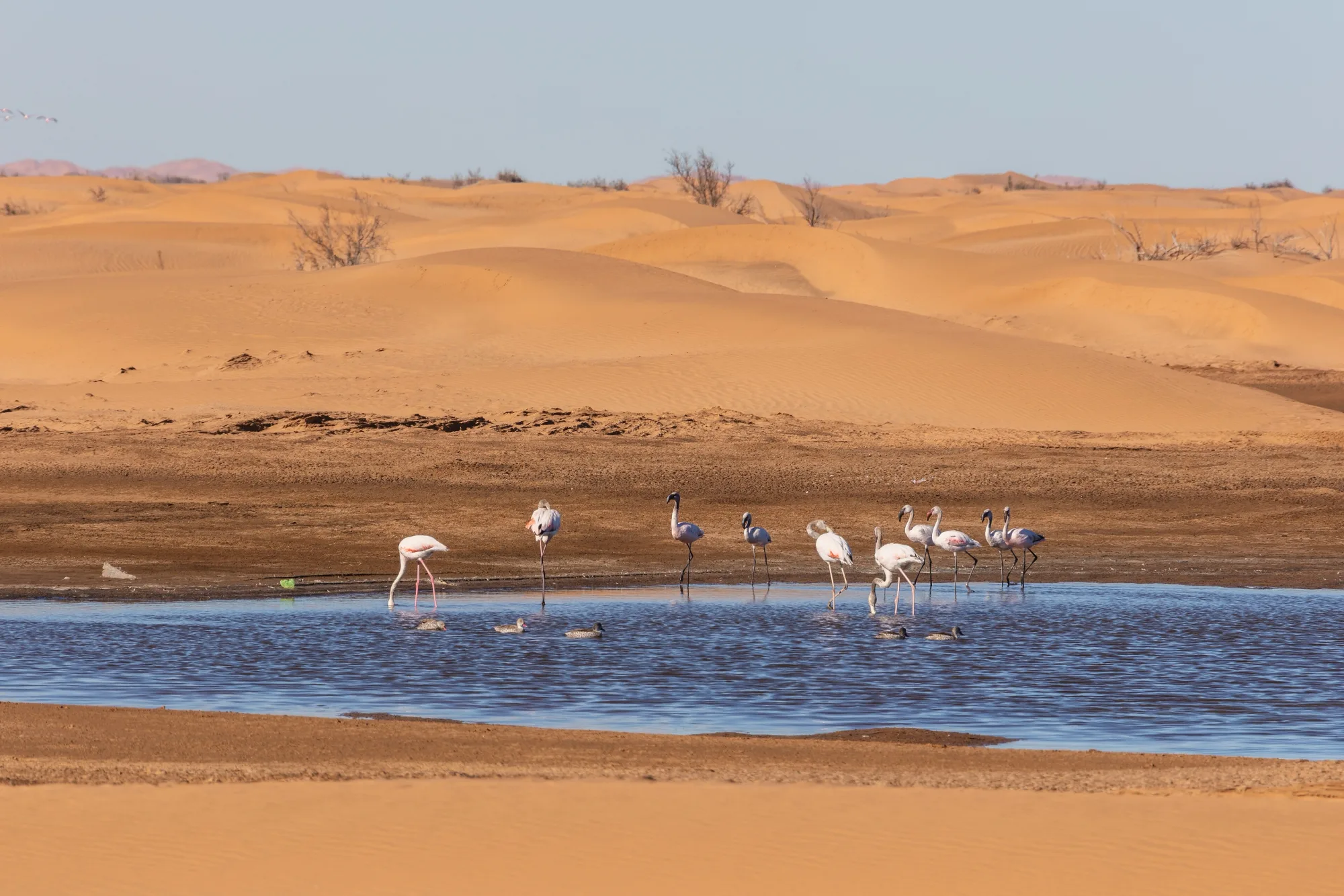 Walvis Bay, Namibia