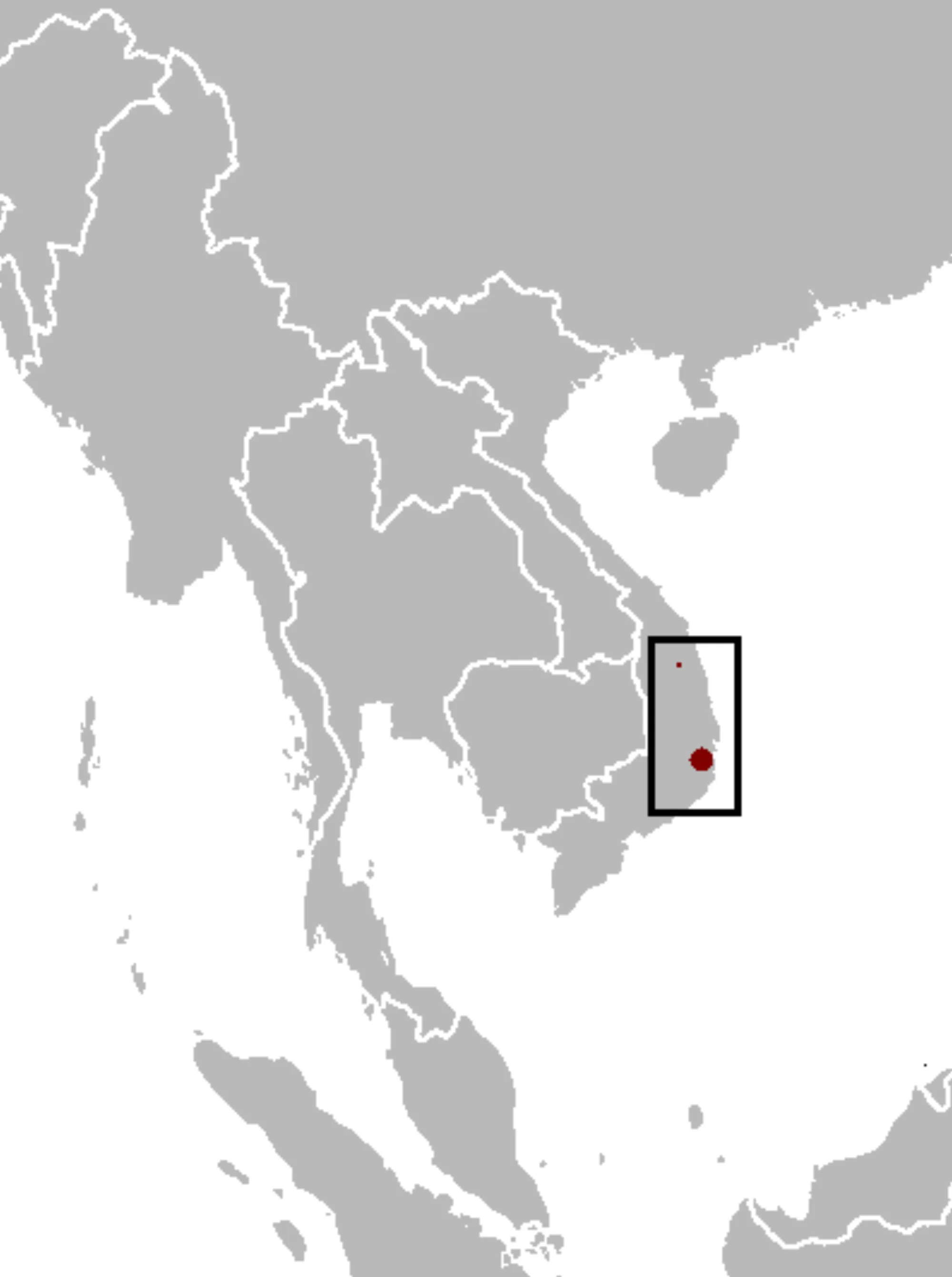 Vietnam Mouse-deer